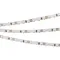 Минифото #2 товара Светодиодная лента RT 2-5000 12V Blue 5mm 2x (3528, 600 LED, LUX) (Arlight, 9.6 Вт/м, IP20)