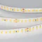 Минифото #3 товара Светодиодная лента герметичная RTW-SE-A160-8mm 24V Warm2700 (12 W/m, IP65, 5m) (Arlight, 12 Вт/м, IP65)