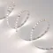 Минифото #4 товара Светодиодная лента MICROLED-M120-8mm 24V Day4000 (14 W/m, IP20, 2216, 5m) (Arlight, Открытый)