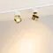 Минифото #2 товара Светильник SP-PLURIO-TRACK-4TR-R77-9W Warm3000 (WH-BRS, 36 deg, 230V) (Arlight, IP20 Металл, 3 года)