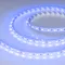 Минифото #1 товара Светодиодная лента RT-B60-10mm 24V Blue (14.4 W/m, IP20, 5060, 5m) (Arlight, Открытый)