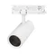 Минифото #4 товара Светильник LGD-GERA-4TR-R74-20W Warm3000 (WH, 36 deg, 230V, TRIAC) (Arlight, IP20 Металл, 5 лет)