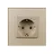 Минифото #3 товара Розетка электрическая с Zigbee управлением SCT-OMALI-EUZB1-PL-GD (240V, 16A, Zigbee) (Arlight, -)