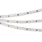 Минифото #4 товара Светодиодная лента герметичная SPI-PFS-B60-12mm 12V RGB-PX3-BPT (12 W/m, IP68, 5060, 5m) (Arlight, бегущий огонь)