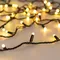 Минифото #3 товара Светодиодная гирлянда ARD-STRING-CLASSIC-10000-BLACK-100LED-MILK-SYNC RGB (230V, 6.5W, RF ПДУ, 3000) (Ardecoled, IP65)
