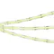 Минифото #2 товара Светодиодная лента COB-X544-8mm 24V Green (11.5 W/m, IP20, CSP, 5m) (Arlight, -)