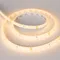 Минифото #2 товара Светодиодная лента герметичная RTW-SE-A98-8mm 24V Warm3000 (10 W/m, IP65, 2835, 5m) (Arlight, -)