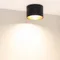 Минифото #5 товара Светильник SP-BISCOTTO-R120-12W Warm3300-MIX (BK-GD, 80 deg, 230V) (Arlight, IP54 Металл, 5 лет)
