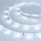Минифото #1 товара Светодиодная лента RT-A30-8mm 24V Cool 8K (2.9 W/m, IP20, 2835, 5m) (Arlight, 2.9 Вт/м, IP20)