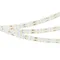 Минифото #2 товара Светодиодная лента RT-A196-15mm 24V Warm3000 (20 W/m, IP20, 2835, 5m) (Arlight, Открытый)