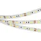 Минифото #1 товара Светодиодная лента RT 2-5000 12V Warm2400 2x (5060, 300 LED, LUX) (Arlight, 14.4 Вт/м, IP20)
