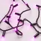 Минифото #2 товара Светодиодная гирлянда ARD-STRING-CLASSIC-10000-BLACK-100LED-STD PINK (230V, 7W) (Ardecoled, IP65, 1 год)