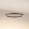 Минифото #2 товара Светильник SP-CIRCLE-HANG-O3535-D900-50W Warm3000 (RAL9005, 120 deg, 230V) IP40 LED (Arlight, Алюминий)