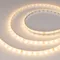 Минифото #1 товара Светодиодная лента герметичная RTW-SE-A60-8mm 24V Warm2700 (4.8 W/m, IP65, 2835, 5m) (Arlight, -)