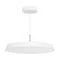 Минифото #1 товара Светильник SP-ELEGANT-R500-37W Day4000 (WH, 120 deg, 230V) (Arlight, IP20 Металл, 3 года)