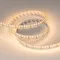 Минифото #7 товара Светодиодная лента RT-A240-15mm 24V White-MIX (19.2 W/m, IP20, 2835, 5m) (Arlight, Изменяемая ЦТ)