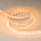 Минифото #4 товара Светодиодная лента RT-B60-10mm 24V Orange (14.4 W/m, IP20, 5060, 5m) (Arlight, 14.4 Вт/м, IP20)
