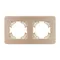 Минифото #2 товара Рамка алюминиевая FRM-AKIRY-AL-2-GD (Arlight, -)