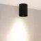 Минифото #4 товара Светильник SP-FOCUS-R110-18W Day4000 (BK, 50 deg, 230V) (Arlight, IP54 Металл, 5 лет)