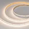 Минифото #1 товара Светодиодная лента ULTRA-C126-10mm 24V Warm3500 (14.4 W/m, IP20, 5630, 5m) (Arlight, высок.эфф.200 лм/Вт)
