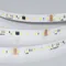 Минифото #2 товара Светодиодная лента DMX-A96-12mm 24V Day4000-PX12 (14 W/m, IP20, 5m) (Arlight, CRI>90)