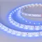 Минифото #1 товара Светодиодная лента RT-A60-8mm 12V Blue (4.8 W/m, IP20, 2835, 5m) (Arlight, 4.8 Вт/м, IP20)