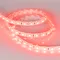 Минифото #2 товара Светодиодная лента RTW 2-5000SE 24V Red 2x (5060, 300 LED, LUX) (Arlight, 14.4 Вт/м, IP65)