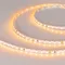 Минифото #2 товара Светодиодная лента RT 2-5000 24V Yellow 5mm 2x (3528, 600 LED, LUX) (Arlight, 9.6 Вт/м, IP20)