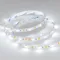 Минифото #2 товара Светодиодная лента RT-B60-10mm 24V White-MIX (14.4 W/m, IP20, 5060, 5m) (Arlight, Изменяемая ЦТ)