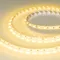 Минифото #1 товара Светодиодная лента RT-B60-10mm 24V Yellow (14.4 W/m, IP20, 5060, 5m) (Arlight, 14.4 Вт/м, IP20)