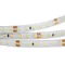 Минифото #3 товара Светодиодная лента герметичная RTW-SE-A120-8mm 24V Cool 10K (14.4 W/m, IP65, 2835, 5m) (Arlight, 14.4 Вт/м, IP65)